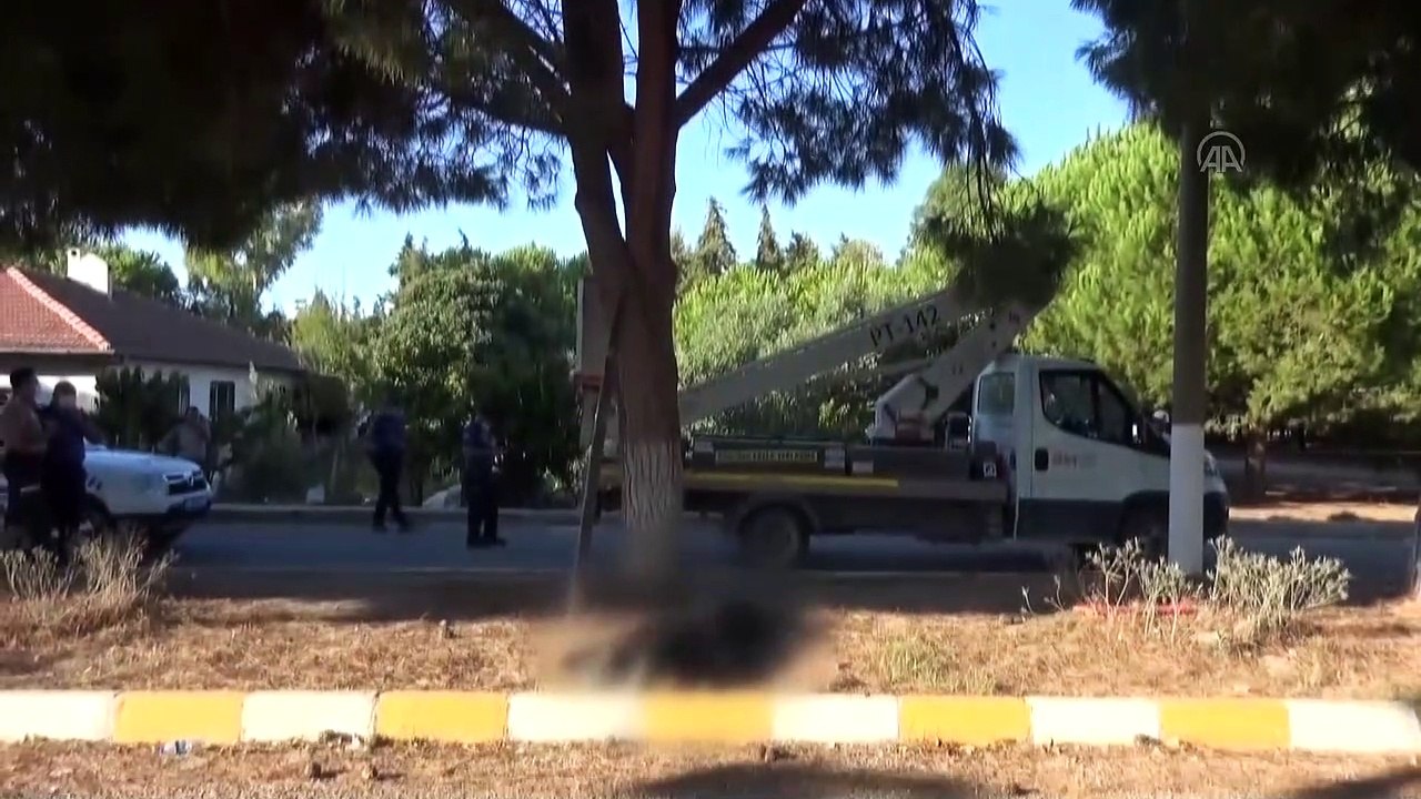 Ağaçtan kozalak çırparken elektrik akımına kapılan işçi öldü - AYDIN