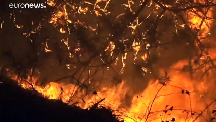 На Востоке Украины бушуют лесные пожары