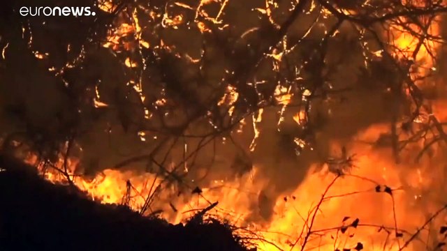 На Востоке Украины бушуют лесные пожары