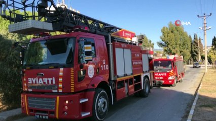 Kuşadası’nda inanılmaz olay... Kozalak toplayan genç çam ağacının tepesinde yanarak öldü