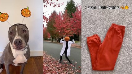 TikTok Welcoming Fall