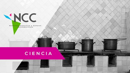 Ollas comunes y restaurantes se unen para paliar el hambre en Chile