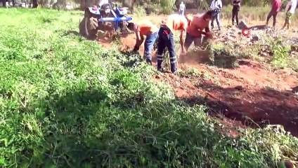 Marmaris Belediyesi ilk yerfıstığı hasadını yaptı