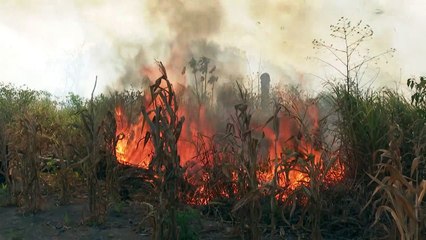 Amazônia e Pantanal em chamas