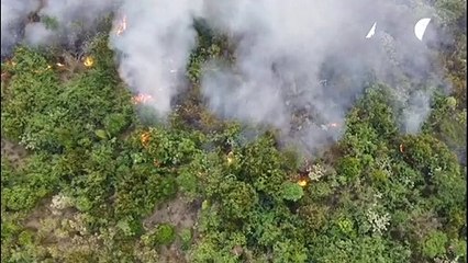 Amazônia e Pantanal em chamas