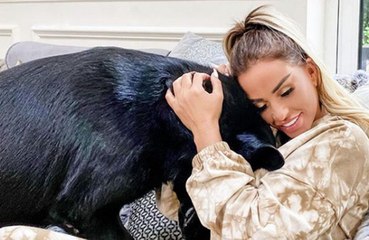 Katie Price feels her 'stars are finally aligned'