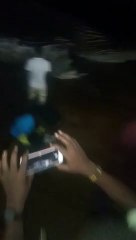 Une baleine échoue sur la plage de Lomé