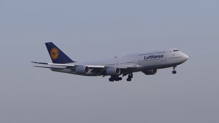 Lufthansa Boeing 747-8  _  GRU Airport - Guarulhos