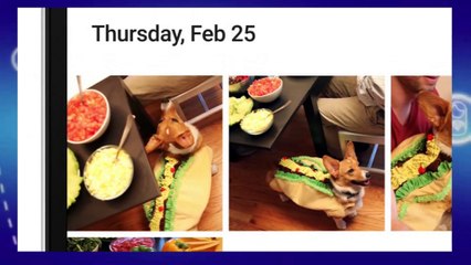 Top 10 plataformas da Google gratuitas para se cadastrar