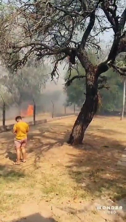 Video viral muestra los lugares afectados por los incendios en Monte Alto