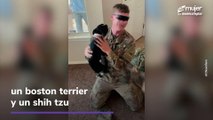 Militar regresa a casa y sus perritos no pueden contener la emoción