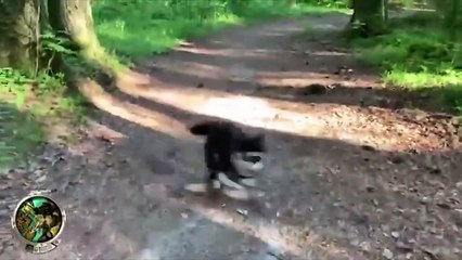 UNUSUAL MEMES COMPILATION 7