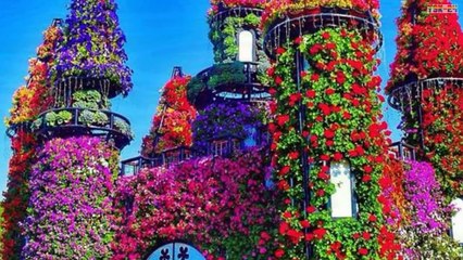 WOW! Dubai Miracle Garden