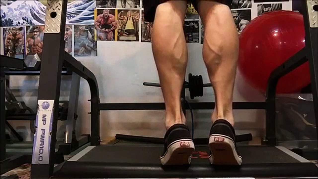 I actually train calves sometimes....
