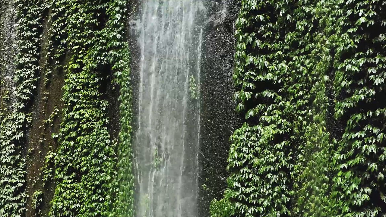 ROY KNOX & Shiah Maisel - Living With Regret No Copyright