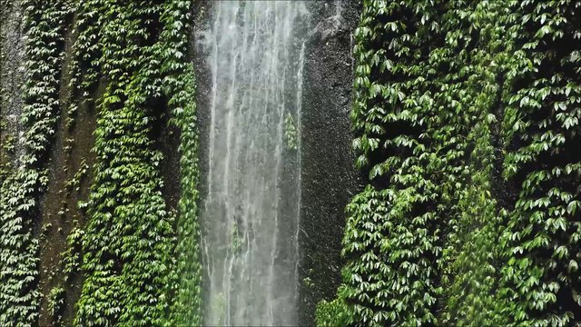 ROY KNOX & Shiah Maisel - Living With Regret No Copyright