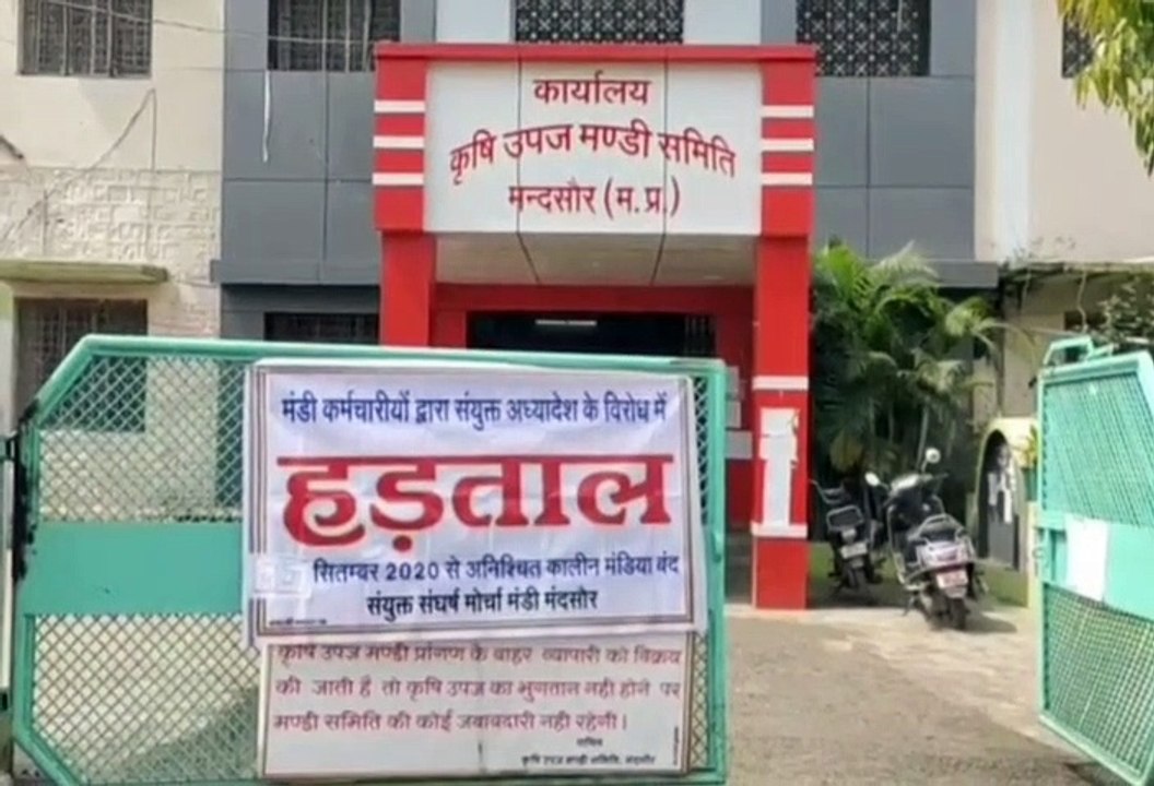 मंदसौर: मंडी हड़ताल 8 दिन से किसान परेशान