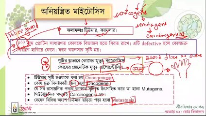 Udvash Varsity Biology 1st Paper 10th Class 25th September 2020 Part 2