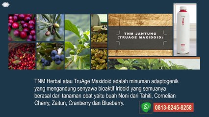 TNM Obat Jantung, TNM Obat Liver 0813 8245 8258 (WA)