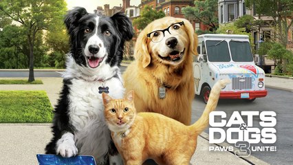 Cats & Dogs 3 Slaan de Pootjes Ineen! Film