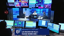 Les ruches en ville : une fausse bonne idée !