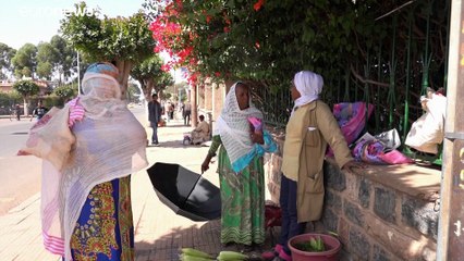 EU's new migrant returns policy at risk of creating more problems, legal expert says