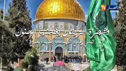 لا تكتئب قبة الصخرة تبكي من الحسرة