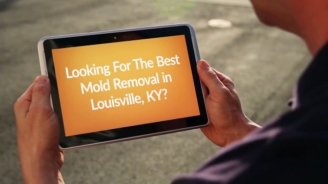 Best Mold Removal in Louisville, Kentucky
