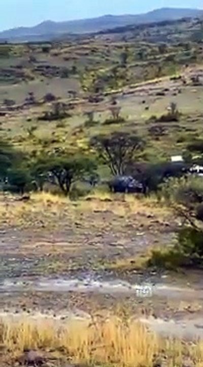 video (2)