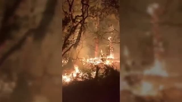 Una veintena de incendios activos en California arrasan casi un millón y medio de héctareas