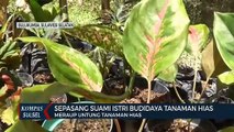 Meraup Untung Berbisnis Tanaman Hias Di Tengah Pandemi Corona