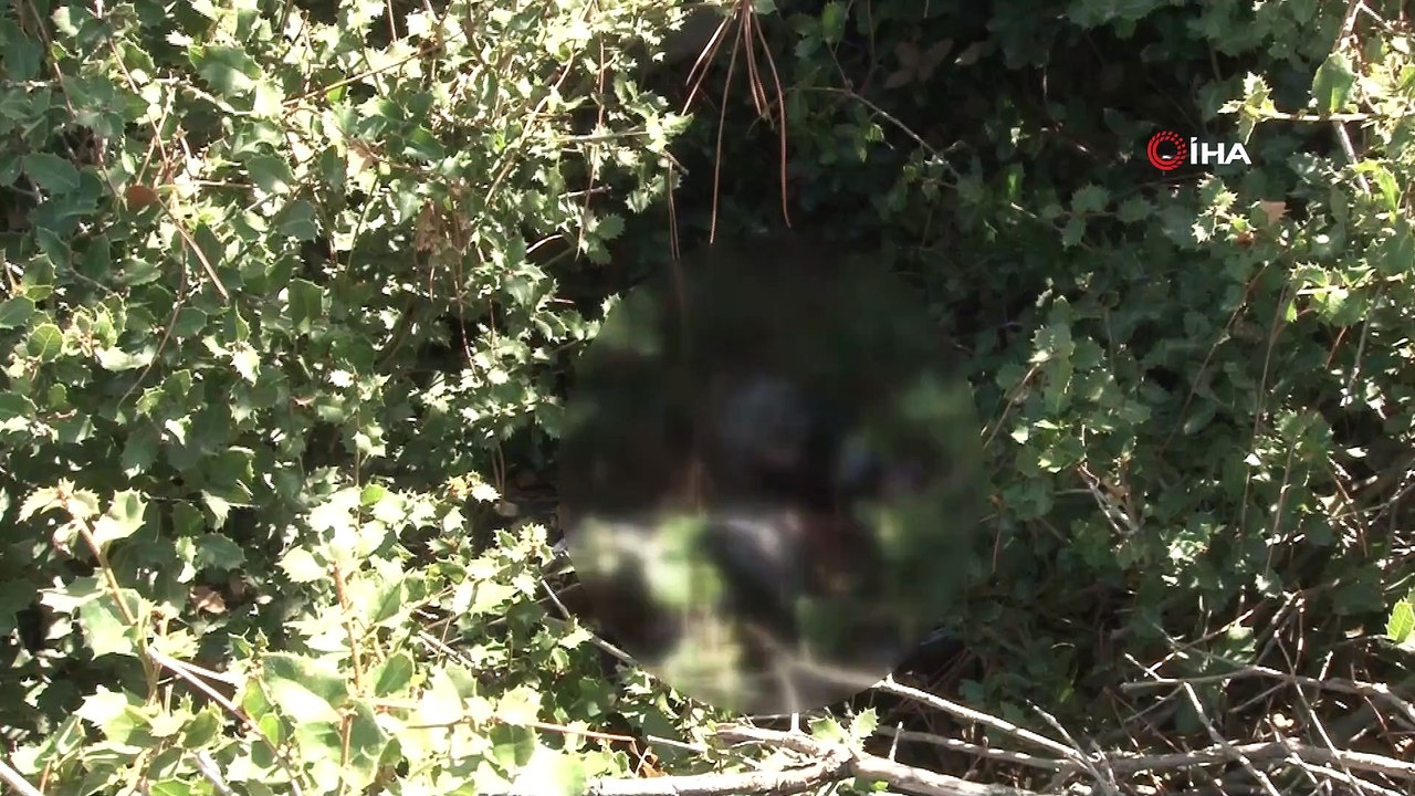 Uyarı tabelası ve beton bariyerleri deviren alemciler, Mehtap Tepesi'ni çöplüğe çevirdi