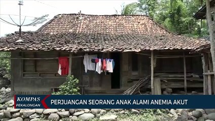 Perjuangan Seorang Anak hadapi Anemia Akut