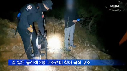 아내 때리고 의식 잃은 채 발견…구조견이 등산객 2명 구해