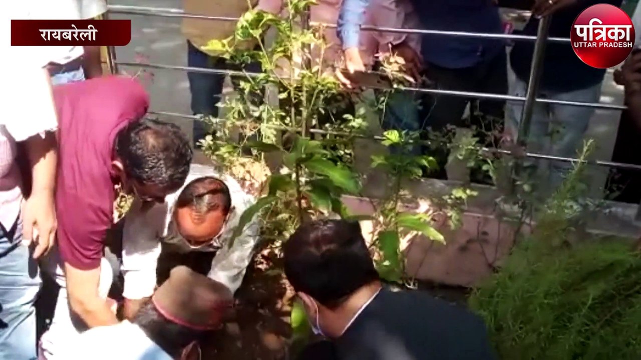 गांधी जयंती पर जिलाधिकारी ने किया वृक्षारोपण, औ...