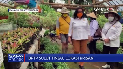 BPTP Sulut Tinjau Lokasi Bunga Krisan Di Tomohon