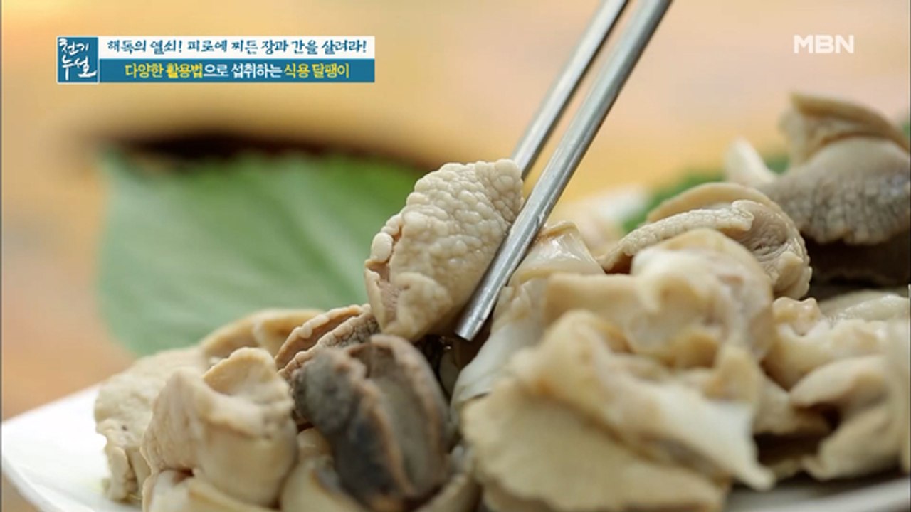 다양한 활용법으로 섭취하는 식용 달팽이