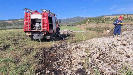 Φωτιά σε μηχανή συλλογής βάμβακος εν κινήσει στο Λιανοκλάδι