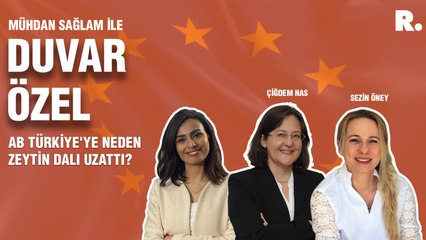 Duvar Özel... AB Türkiye'ye neden zeytin dalı uzattı?
