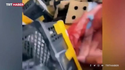 Çin'de 4 bin evcil hayvan ölü bulundu