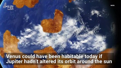 Venus Could Have Been a Hospitable World If It Wasn’t for Jupiter
