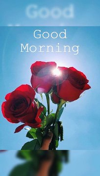 6 October Happy birthday status | Happy birthday Wishes | Happy birthday status 6 October