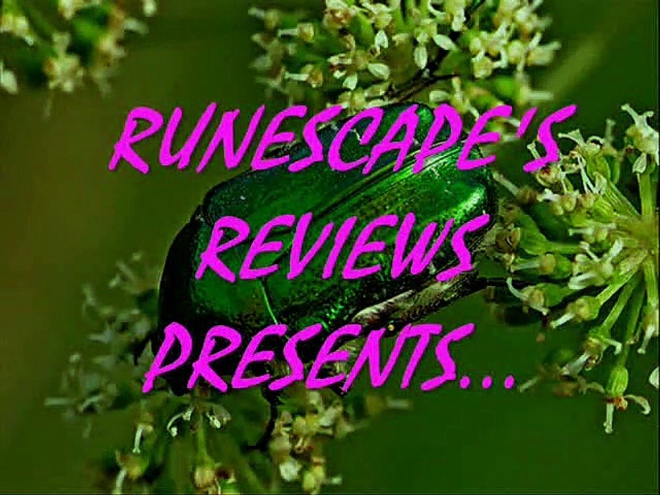 Transformers - "Beast Wars" Insecticon Review