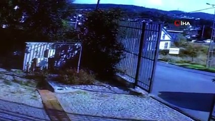 Sarıyer’de aracın köpeği ezdiği anlar kamerada