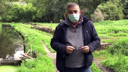 Hat Danone zu viel abgepumpt? Kampf um das Wasser von Volvic