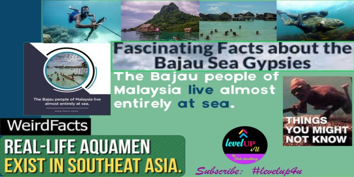 How do Bajau people live|Human planet bajau|bajau culture and traditions|bajau tribe underwater|bajau tribe facts