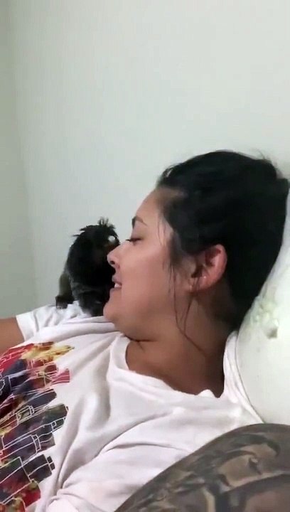 Person Opens Mouth for Monkey