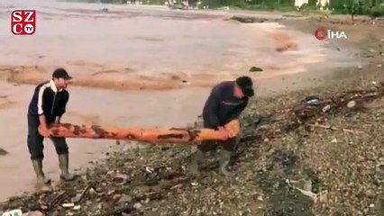 Selin sürüklediği odunları denizden kayık ile topladılar