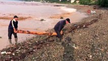 Selin sürüklediği odunları denizden kayık ile topladılar