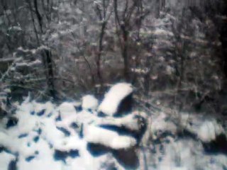 Der Leiermann instrumental no melody